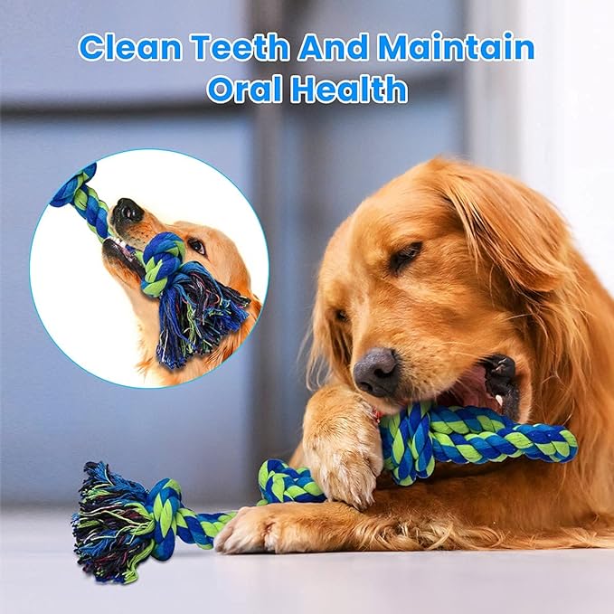 2 Pack Heavy Duty Dog Rope